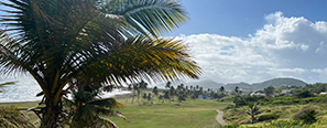 SAINT-KITTS-AND-NEVIS1pic
