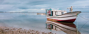 TONGA1pic