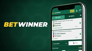 Discover the Features of the Official Betwinner App